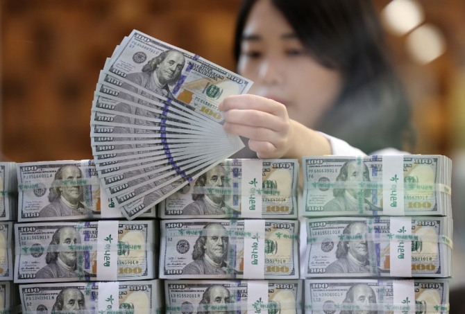 서울 중구 하나은행 본점에서 한 직원이 달러를 정리하는 모습. 사진=연합뉴스