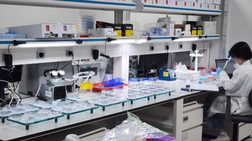 지난 22일 SK바이오사이언 안동 L하우스 백신 공장 직원이 배지에 독감바이러스와 항원을 넣고 항원이 일정치를 충족하는지 확인하는 실험을 하고 있다.  사진=글로벌이코노믹