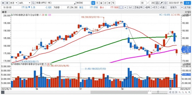 애플 일간차트. 자료=신한투자증권 HTS
