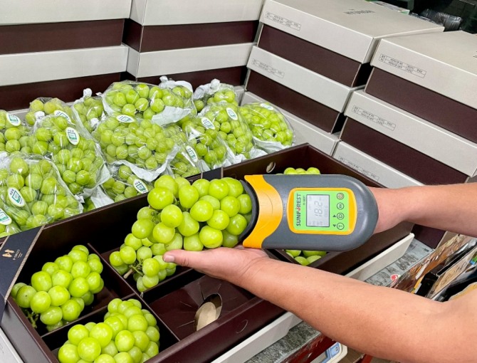 H스위트 고당도 샤인머스켓 당도선별  /사진=현대백화점