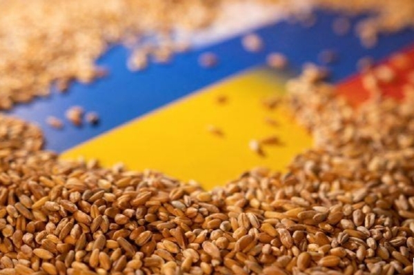 곡물 수출을 둘러싼 폴란드와 우크라이나의 갈등이 해소될 수 있을까? 사진=본사 자료
