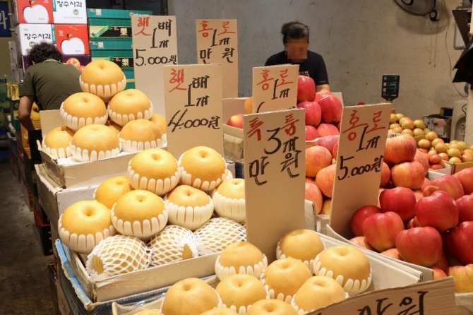 한 상인이 지난 5일 서울 청량리 청과물 도매시장에서 과일을 진열하고 있다. 통계청이 발표한 '2023년 8월 소비자물가 동향'에 따르면 지난 8월 물가는 3개월 만에 다시 3%대를 기록했다.사진=연합뉴스