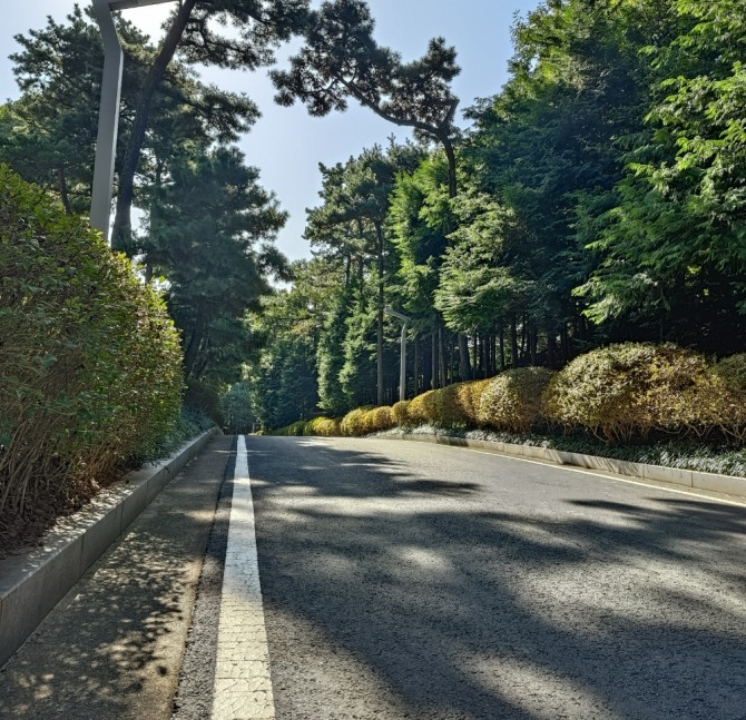 입구과 본관을 잇는 한화인의 길. 사진=장용석 기자