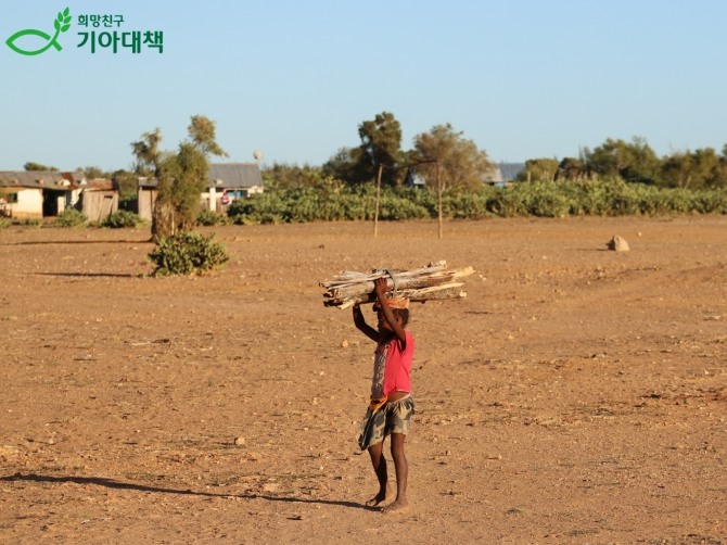 마다가스카르의 한 아동이 땔감을 구하고 있다.  /사진=희망친구 기아대책