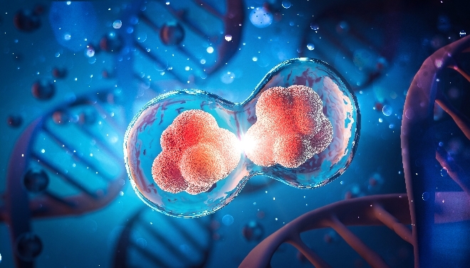 다발성 경화증은 자가면역 질환의 일종으로 인체의 면역시스템이 신경계를 공격하면서 발생한다. 자료=글로벌이코노믹