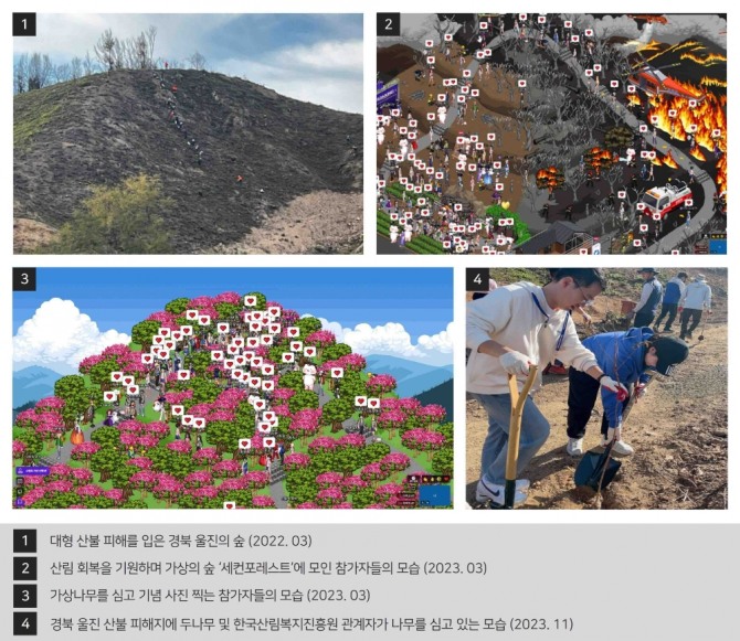 두나무에서 진행하는 세컨포레스트 캠페인을 통해 산불 피해지 산림 복원이 이루어지는 과정. 사진=두나무