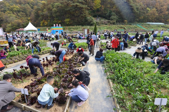광주 동구는 지난 4일 내남동에 위치한 도시농업복합단지에서 도심 속 농촌 생활 이색 체험의 기회를 함께하는 도시 농업 축제 ‘팜파티(Farm Party)’를 개최했다고 밝혔다. 사진=광주동구청