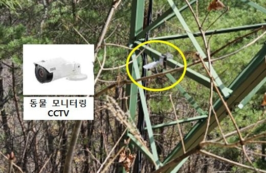 시범철탑에 설치된 동물 모니터링용 폐쇄회로(CC)TV(노란색 원)와 확대 이미지. 사진=한국전력