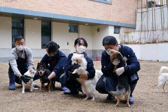 지난달 29일, BBQ치킨 임직원들이 경기도 소재의 반려동물 문화공간 ‘반려마루’ 방문해 유기견 돌봄 봉사활동을 펼쳤다.  /사진=BBQ