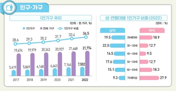  '2023 통계로 보는 1인 가구' 보고서의 요약 이미지 갈무리. 사진=통계청