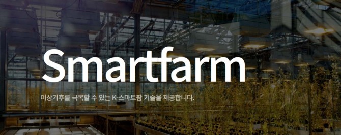 솔트웨어의 스마트팜 기술.