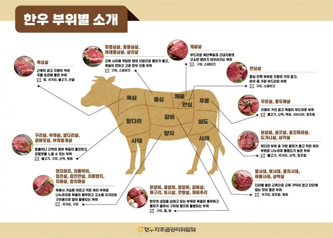 한우자조금, 새해맞이 값진 한우의 우수성 공개 - 글로벌이코노믹