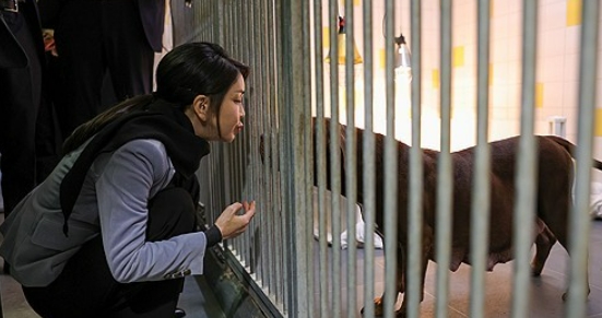 지난해 12월 네덜란드를 국빈 방문한 윤석열 대통령의 아내 김건희 여사가 암스테르담 동물보호재단의 반려견 거주공간에서 강아지와 인사하고 있다. 사진=연합뉴스