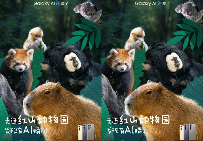 삼성과 난징 홍산삼림동물원과의 협업으로 진행된 갤럭시 S24 홍보 캠페인.