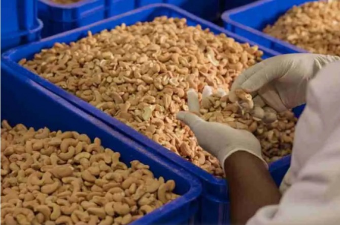미래그린이 탄자니아에 500만 달러 규모 캐슈넛 가공 공장을 완공했다.