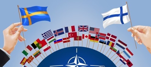 스웨덴이 북대서양조약기구(NATO)에 합류했다. 일러스트=연합뉴스