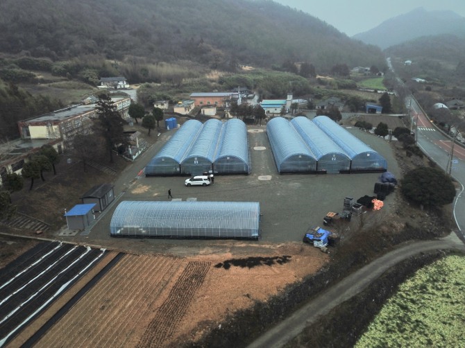 진도군이 고군면 향동리 일원에 1000여평 규모의 꽃 양묘장을 신축, 운영하고 있다. 사진=진도군