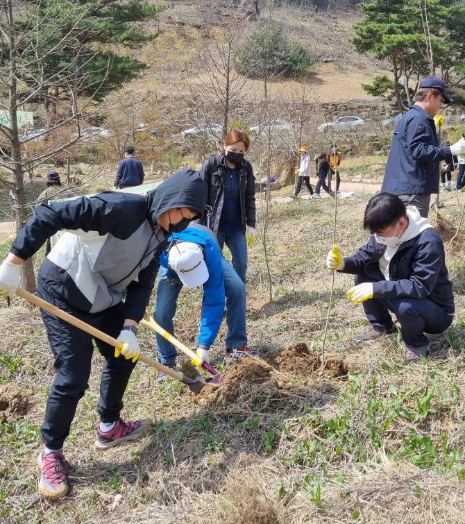 전라남도는 올해 430만 그루의 나무를 심어 신규 탄소흡수원을 확충하고 주민 소득과 관광 자원화 기반을 구축한다고 밝혔다. 사진=전남도