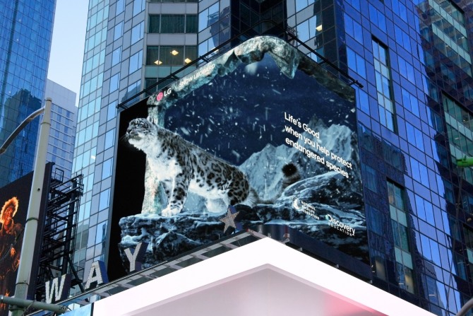 미국 뉴욕 타임스스퀘어 전광판에서 ‘LG와 함께하는 위기 동물 보호 캠페인(The LG Endangered Species Series)’ 영상이 상영되고 있다. 사진=LG전자