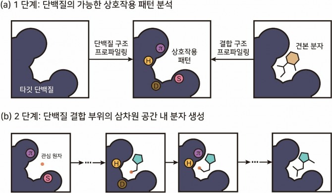 본 연구진이 개발한 단백질-분자 상호작용 패턴 기반 3차원 생성형 AI의 개념도. (a) 첫 번째 단계에서는 타겟 단백질의 결합 부위를 분석하여 가능한 상호작용 패턴을 규명한다. (b) 두 번째 단계에서 AI는 미리 지정한 상호작용 패턴에 따라 단백질 결합 부위의 3차원 공간 내부에 원자를 순차적으로 추가함으로써 분자를 완성한다. 원 안의 문자는 다음과 같은 상호작용 유형을 나타낸다: 수소 결합(H), 소수성 상호작용(D), 이온 결합(S) 및 파이 겹침(π). 사진=KAIST