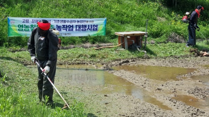 양평군 영농취약계층 농작업 대행서비스. 사진=양평군