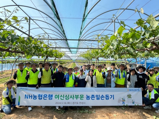 14일 경기도 안성시 공도읍 마정리 소재 포도 농가에서 김길수 NH농협은행 여신심사부문 부행장과 임직원들이 일손돕기에 앞서 기념사진 촬영을 하고 있다. 사진=NH농협은행