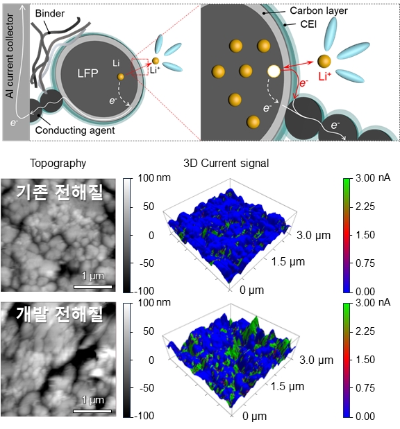 고속 충전 과정 중 리튬인산철 양극의 원활한 탈리튬화 반응을 위하여 1-(트리메틸실릴)-1H-벤조트리아졸 첨가제 형성한 전도성의 양극-전해질 계면막을 통한 전자 전잘 경로 모식도. 개발된 첨가제가 사용되지 않은 리튬인산철 양극과 개발 첨가제를 적용한 리튬인산철 양극의 C-AFM 나노스케일 영상화 결과. 자료=KAIST