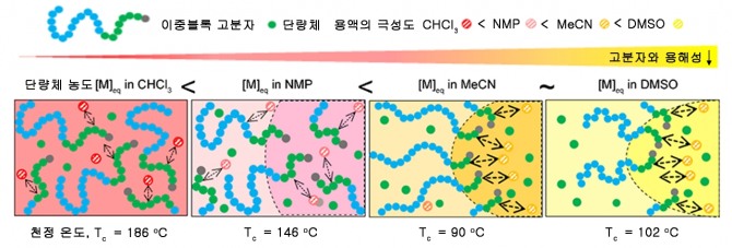 이중블록 고분자와의 용해성이 떨어지는 선택적 용매에서 중합을 진행하였을 때 발생하는 고분자 자기조립의 모식도. 자기조립과 중합의 열역학적 평형이 결합해 천정 온도가 증가하고, 특정 온도에서 단량체의 농도가 증가한다. 사진=KAIST