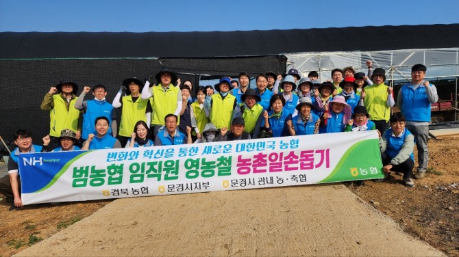 경북농협은 24일 문경시지부, 서문경농협과 일손이 부족한 문경 관내 사과농가와 포도농가에서 일손을 보탰다. 사진=경북농협