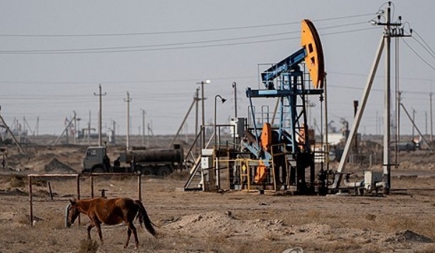 2023년 11월 14일, 카자흐스탄 망기스타우 지역의 자나오젠의 석유 시추 장비 근처에서 말이 풀을 뜯고 있다. 사진=로이터/연합뉴스