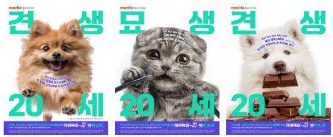 메리츠화재 반려동물 보험 펫퍼민트가 진행하는 ‘견생묘생 20년’ 캠페인 포스터. 자료=메리츠화재