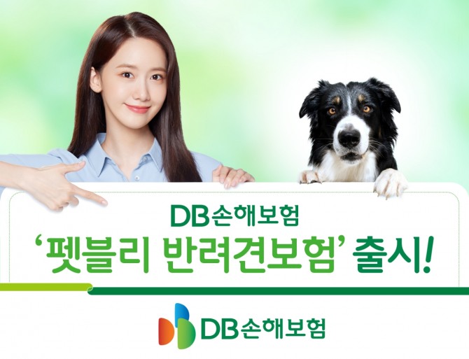DB손해보험의 '펫블리 반려견보험'이 약진하고 있다. 사진=DB손해보험