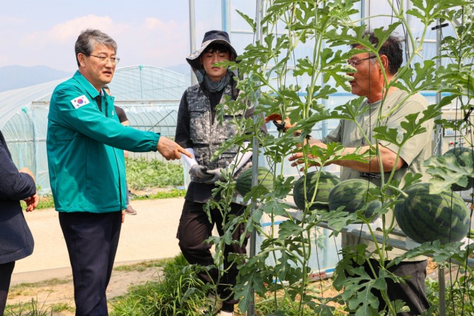 전남 구례군은 지역 특화작목 수박 수직 재배 시범단지를 올해 0.2ha에서 2026년 1.6ha, 2030년 5ha까지 확대할 계획이라고 밝혔다. 사진=구례군