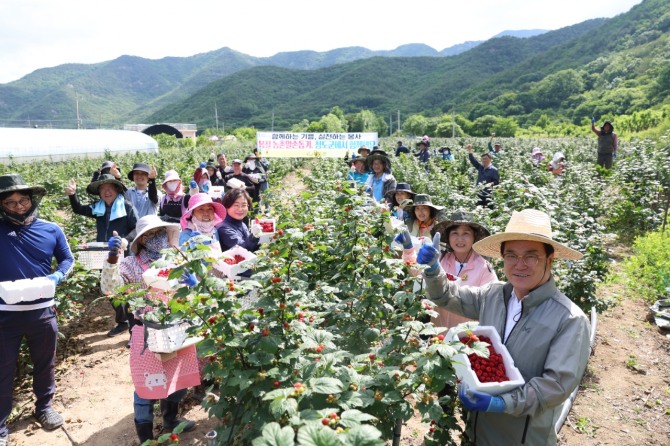 청도군 농촌일손돕기 모습. 사진=청도군