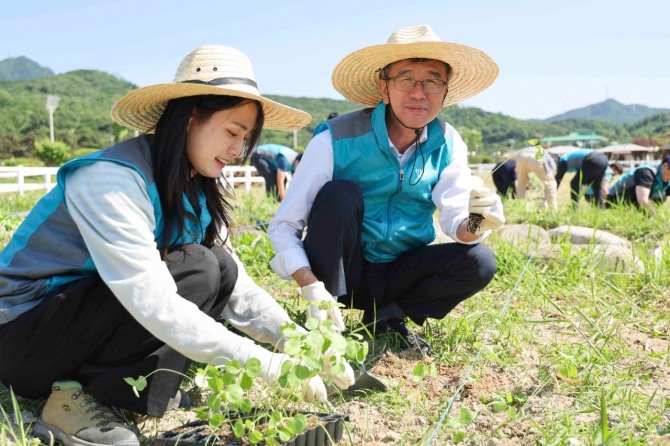 한국마사회 정기환 회장과 임직원 케나프 식재활동을 하고 있다.   /사진=한국마사회