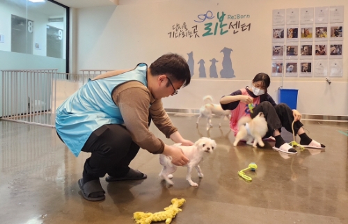 대웅펫은 대웅제약과 강동 리본센터에서 유기 동물들을 위한 봉사활동을 진행했다. 사진=대웅펫