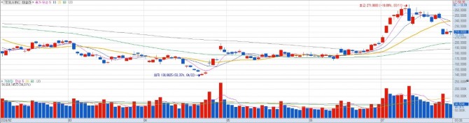 테슬라 일간차트. 자료=키움증권 HTS 영웅문