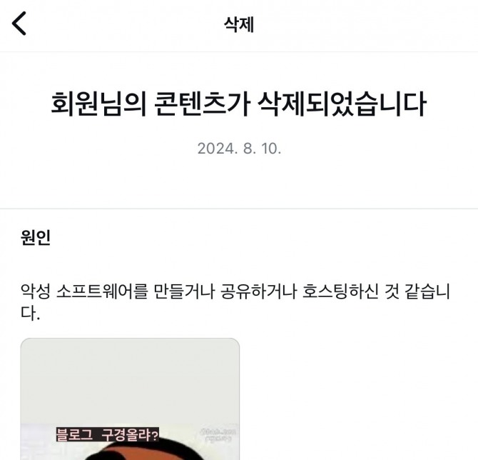 자신의 인스타그램 계정에 네이버 블로그 URL을 올렸다가 삭제된 이용자의 게시글. 사진=X