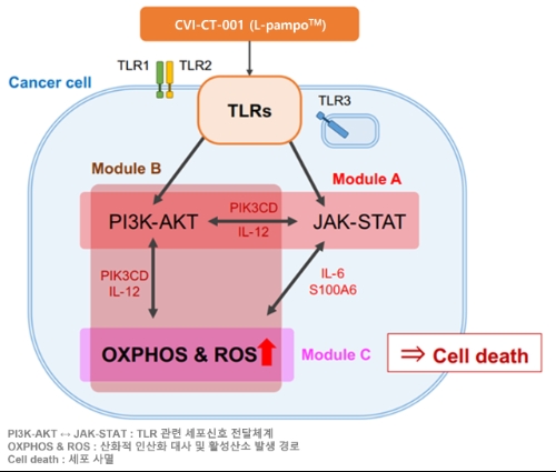 차백신연구소와 목암생명과학연구소는 AI를 활용해 개발한 CVI-CT-001 암세포를 선택적으로 사멸하는 원리를 규명했다고 23일 밝혔다. 사진=차백신연구소