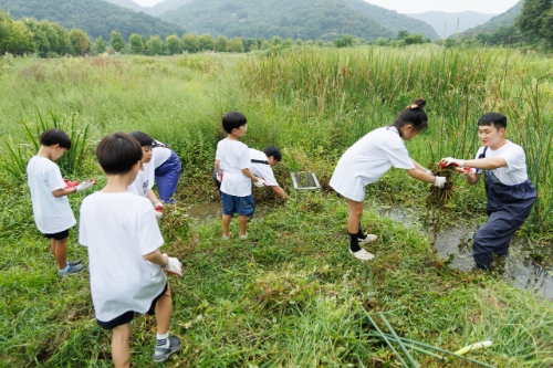 보령은 예산군과 황새 보전 활동에 참여했다고 9일 밝혔다. 사진=보령