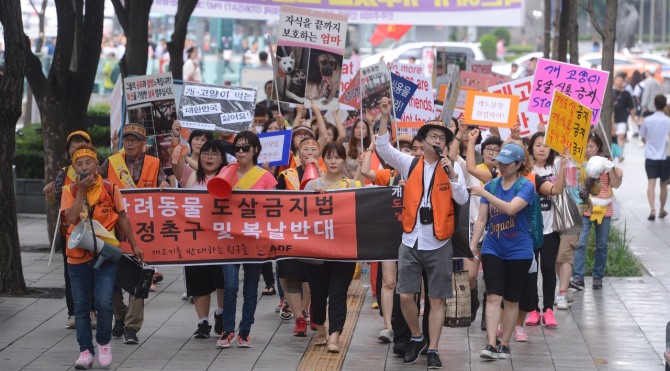 오는 2027년부터 개 식용을 위한 사육·도살·유통·판매 등이 법으로 금지된다. 사진은 서울 종로구 광화문광장에서 '개고기를 반대하는 친구들' 회원들이 개 식용 반대 및 도살, 유기, 학대 금지를 촉구하며 행진하고 있다. 사진=뉴시스