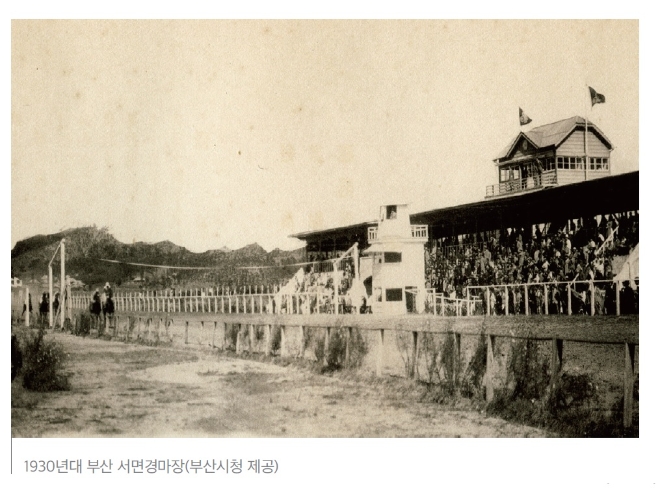 사진=부산시청, 한국마사회