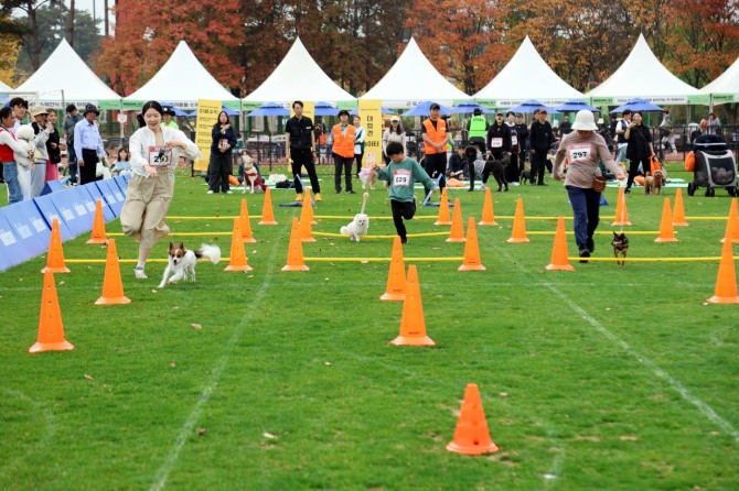 .콘서트부터 김홍도문화제까지… 10월 안산페스타엔 축제가 한가득(4)(펫페스티벌) 사진=안산시