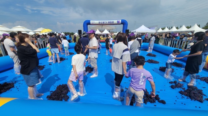 안산시는 오는 28일부터 29일까지 이틀간 대부바다향기테마파크 일원에서‘대부에 취하자, 즐기자, 빠지자! 대부에서 놀자!!’라는 슬로건으로 안산 대부포도축제를 개최한다. 사진=안산시