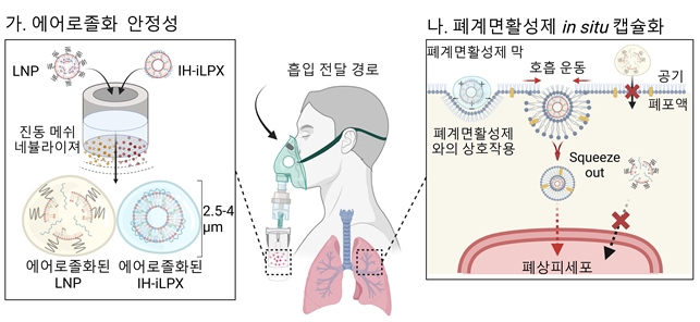 흡입 최적화 지질 나노 복합체의 mRNA 흡입 전달 전략 모식도. 사진=KAIST