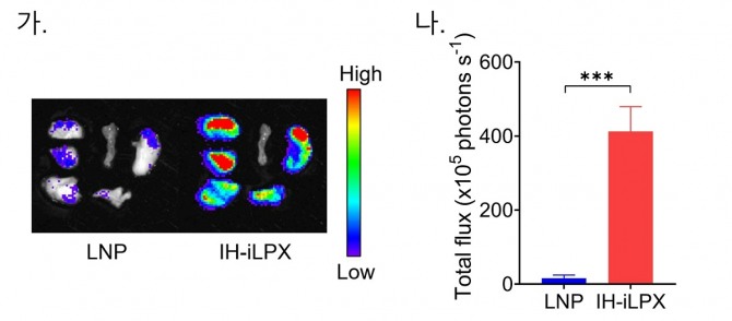 기존 mRNA 전달체와 개발된 흡입용 전달체의 흡입전달 후 마우스 폐에서의 단백질 발현량 비교. 사진=KAIST