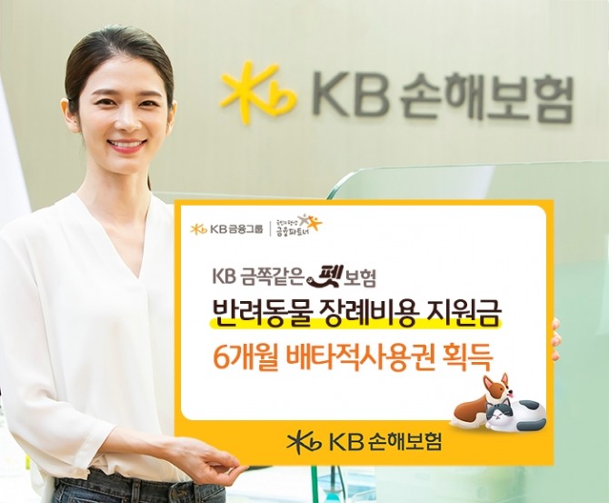 KB손해보험의 반려동물 장례비용 특약이 6개월간 독점 사용권을 획득했다. 사진=KB손보 제공.