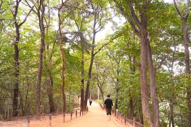 광교호수공원 내 조성된 황톳길. 사진=수원시