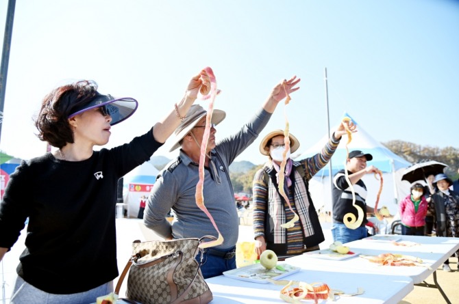 지난해 축제행사인 사과 올림픽 3종.       사진=청송군 