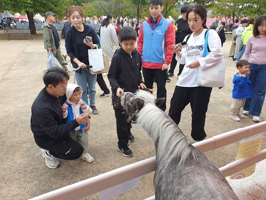 한국마사회 가야문화축제 미니호스 나들이 행사 모습. 사진=한국마사회